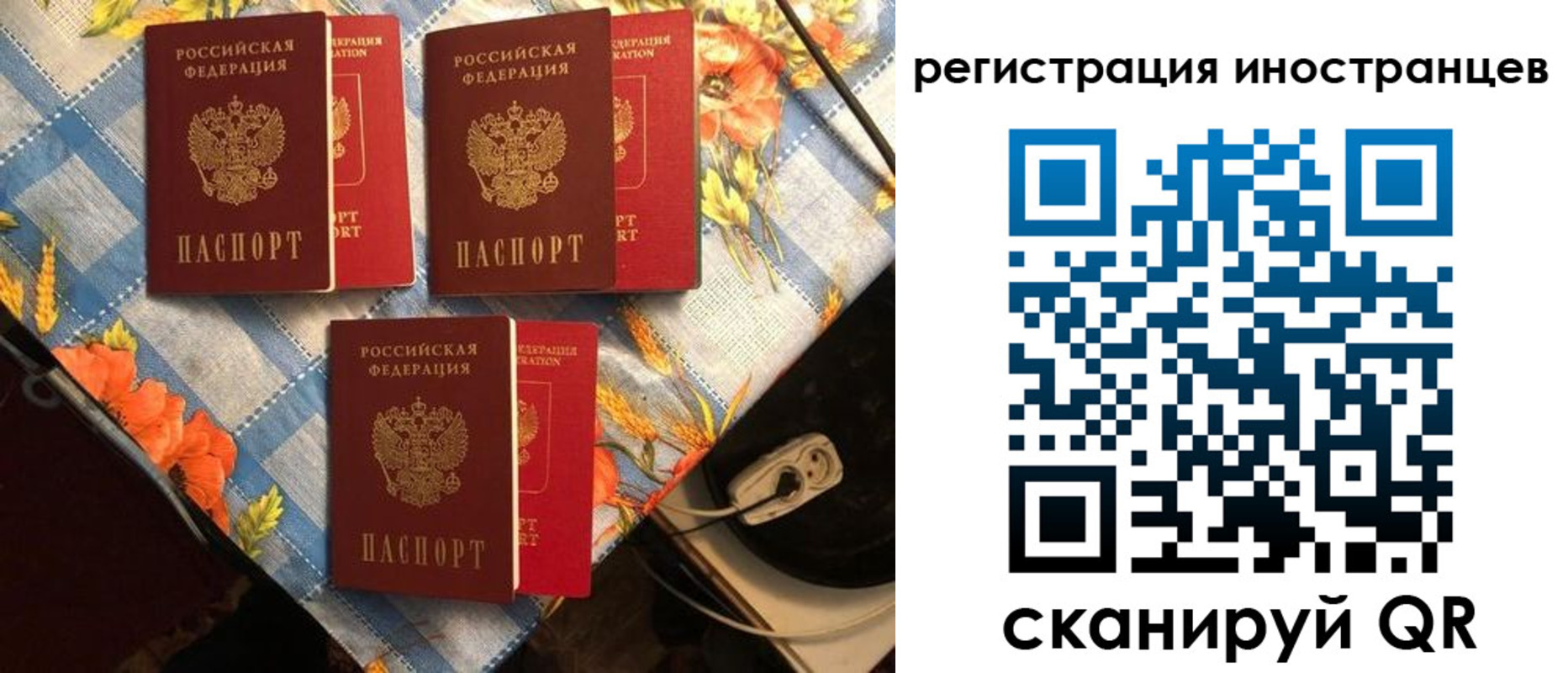 прописка поиск в Гатчине